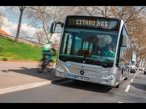 Cab View Line 336 Mercedes Citaro NGT(Bucharest)2.