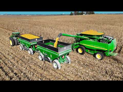 Starting Corn Harvest!