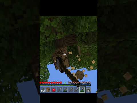 Player Prem - Minecraft Pe Survival series EP-1 in Hindi 1.19 | | made survival house & iron armour | #shorts