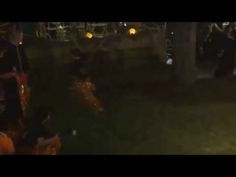 CLFPH KF Demo Team Australian Army Spring Ball 130914