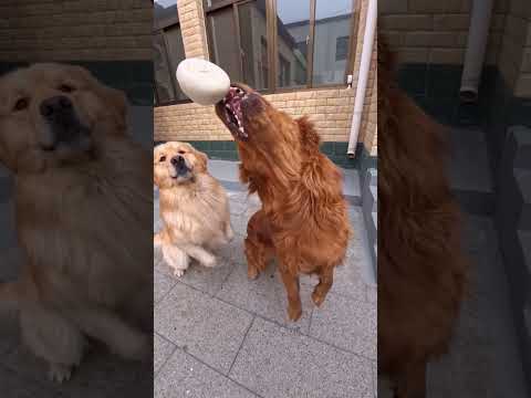 They finally grab it