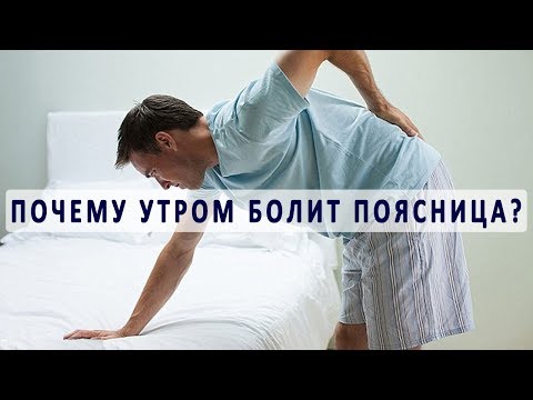 Фирмы эндопротезов коленного сустава Боль в пояснице после месячными причины