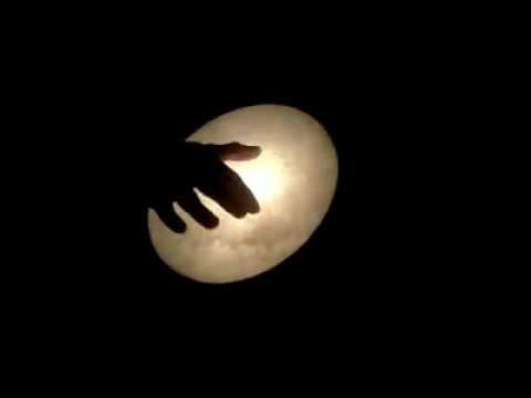 DARBUKA glow in the dark sombaty max 24 with natural goat skin