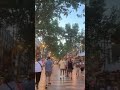 LA RAMBLA BARCELONA SUMMER 2022#shorts #shortvideo