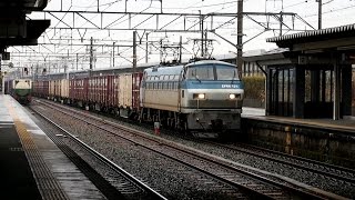 preview picture of video '2015/04/08 JR貨物 EF66-125 & EF66-128 二川駅 / JR Freight with EF66 Locomotives at Futagawa'
