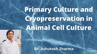 How to perfom Primary Culture and  Cryopreservation Techniques in Animal Cell Culture