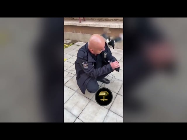 Inusual truco de una urraca que timó y robó a un policía
