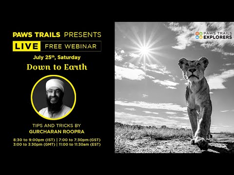 Down to Earth - Low-angle Photography Masterclass by Gurcharan Roopra