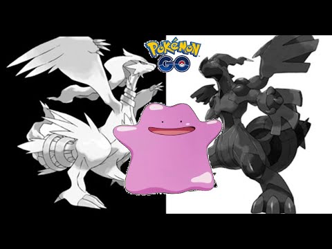 WHAT HAPPENS WHEN YOU USE DITTO IN A 5 STAR LEGENDARY RAID POKEMON GO