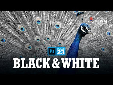 What is Photoshop | Photoshop Training | Class 00