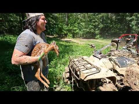 SNAKES, DEER, AND MUD HOLES... | Muddy Bottoms part 3