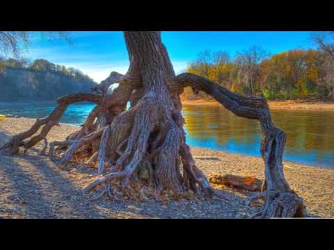 Trust Your Wings (Oystein Sevag)