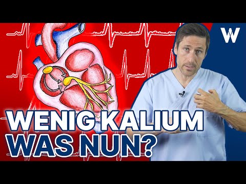Mehr Kalium? Wurde an Kaliummangel bereits gedacht? Typische Symptome & Folgen für Unterversorgung