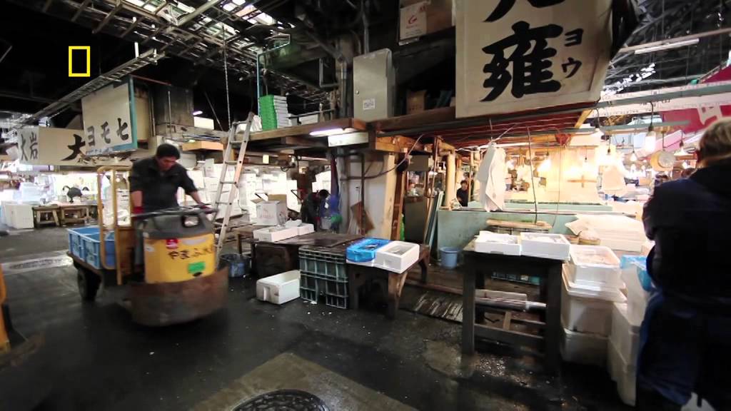 Tokyo, Japan: National Geographic Adventure | World Expeditions