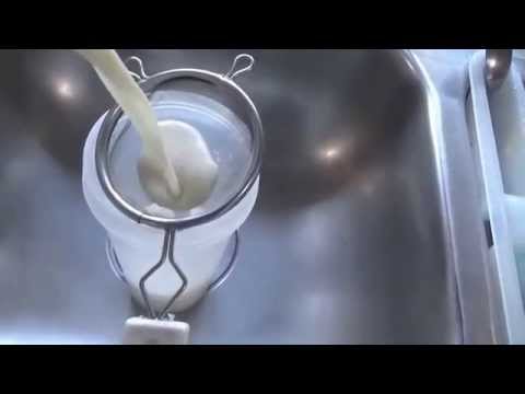How to Make Vegan Nut Milk - Quick + Easy - 2 Ingredients