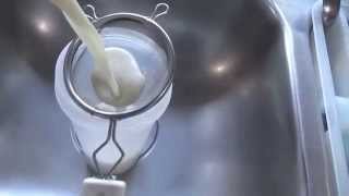 How to Make Vegan Nut Milk - Quick + Easy - 2 Ingredients