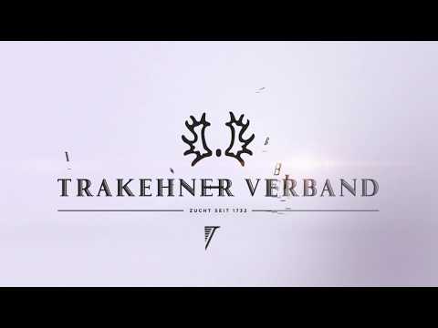 Filly by Millennium  - Imperio *2019