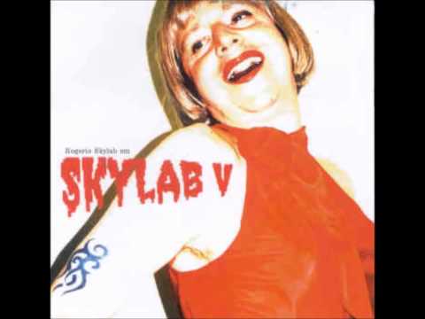 Você Vai Continuar Fazendo Música - Rogério Skylab