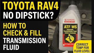 2013 Toyota RAV4 Transmission Fluid Change (No Dipstick!) | Full DIY Guide + Fluid Level Check Tips