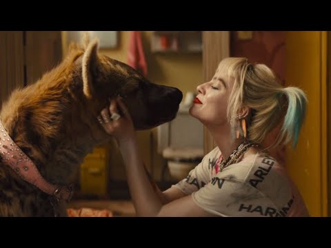 《猛禽暴隊：解瘋小丑女》預告片：官方預告