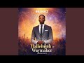 Hallelujah and Waymaker(Mashup) (feat. Bee kriz)