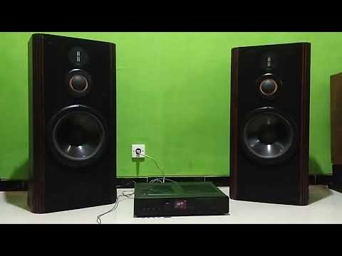 infinity Kappa 7 with Proton AM-656 amplifier