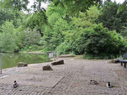 Afakan - Afakan World #2025  #turkishrap #afakan #afakanrap