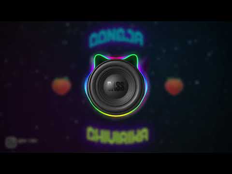 BASS BOOSTED | CONEJA CHIVIRIKA+ME ARREBATA RKT - GON RMX