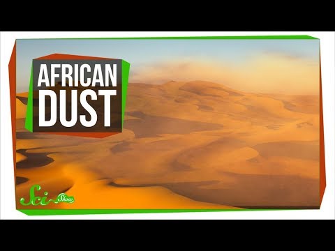 How African Dust Feeds Florida's Crops