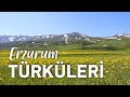 Radyo TÜRKÜLER | En Çok Dinlenen Türküler - Erzurum #elapro