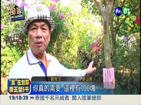 拜託別再挖樹! 登山客貼鈔票懇求