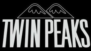 Twin Peaks of Las Vegas Bikini Contest