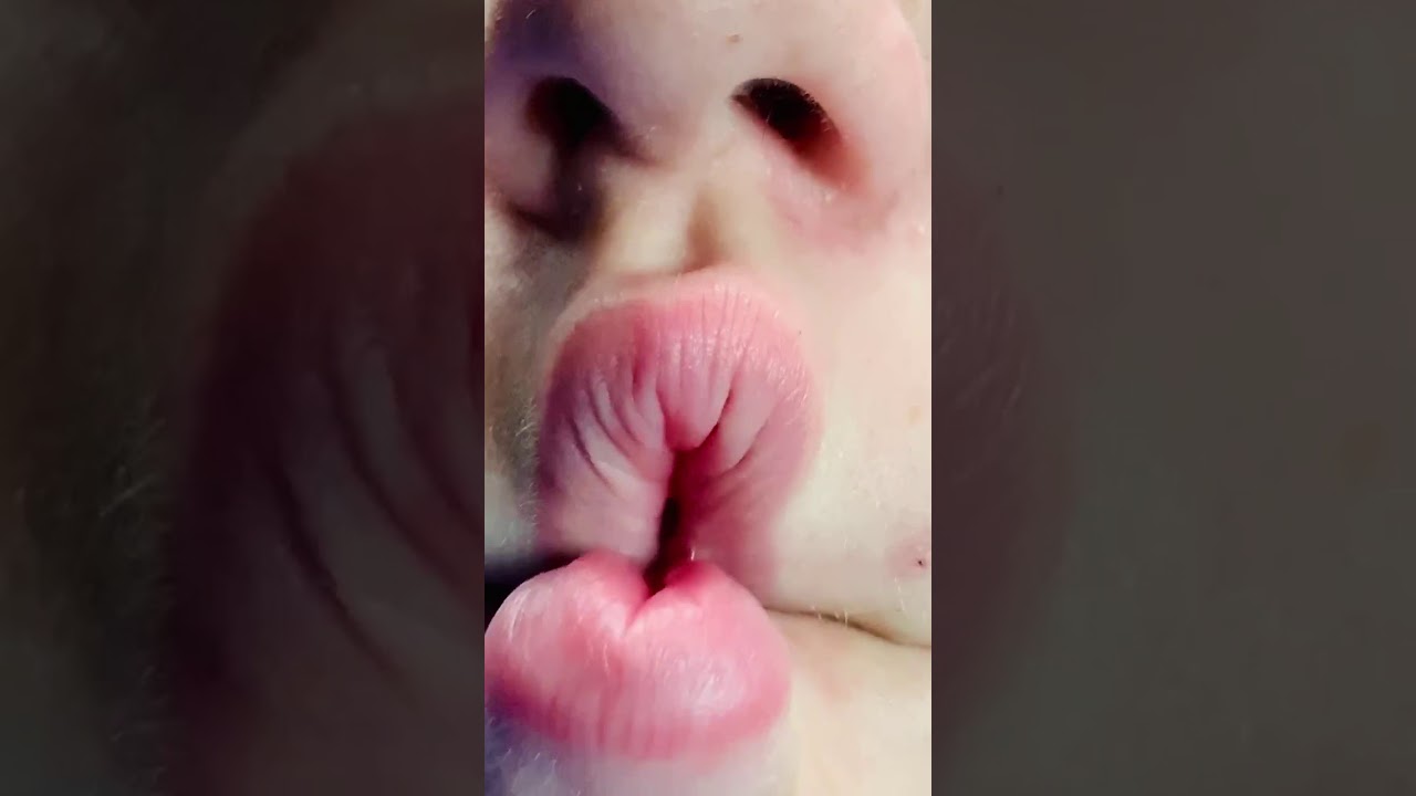 FISH LIPS | Josephine Cimino