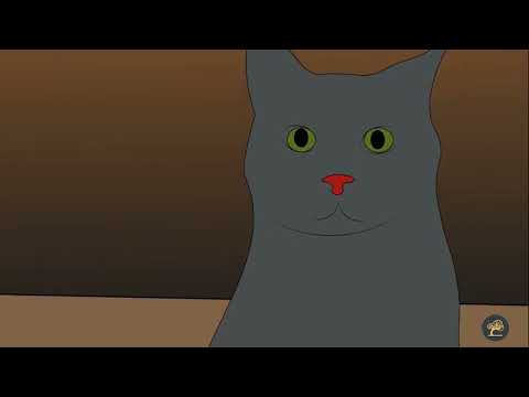 হাপাৰে মেওঁ ,কাণত সোপা দেওঁ | Hapare Mew | নিচুকনি গীত | প্ৰণীতা বৈশ্য মেধি | Pranita Baishya Medhi