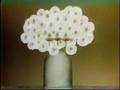 Classic Sesame Street Three Flowers