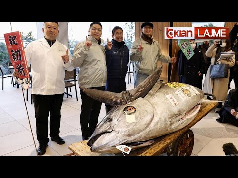 Tv Klan - Peshku ton shitet për 1.3 milion dollarë