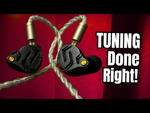 Sounds Expensive! | KZ ZS12 Pro X IEM Review