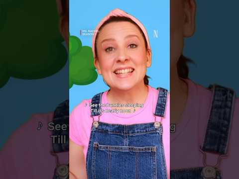 Wake up little bunnies and hop with Ms. Rachel! 🐰 Ms. Rachel is now playing on Netflix!