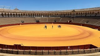 Siamo entrati a Plaza de Toros de la Maestranza di Siviglia! 🐂 Family Tour