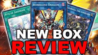 NEW BOX REVIEW! ROKKET, ADVENTURE, PLANT, RAGNARAIKA + MORE! (Yu-Gi-Oh! Duel Links)