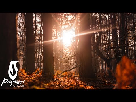 New Horizons - Radiance (Airdeep & Soundliner Remix)