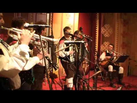 Martinova polka  Gregorji