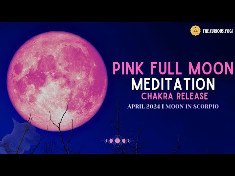 April 2024 Full Moon Guided Meditation I Pink Full Moon I Moon in Scorpio I To My Angel Mocha ???? ????
