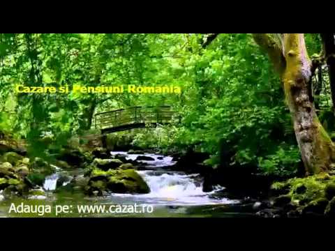 Cazare Ivesti, Vaslui - Cazat.ro