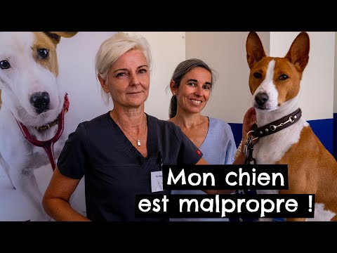 My dog ​​is dirty! 🐶