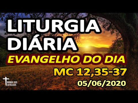 Liturgia Diária - Evangelho do Dia 05/06 - Homilia Diária e Reflexão da Palavra de Hoje