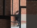 Indian College Girlfriend Kiss