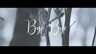Bye Bye Farruko (Video Original)