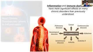 Infections, the Immune System and the Brain