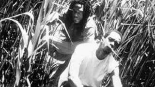 Dead Prez - Fuck the police